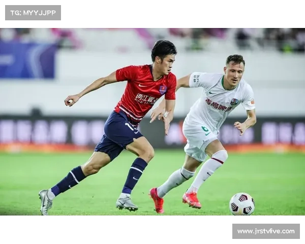 德甲俱乐部升级球场设施，应对世界杯后球迷观赛需求